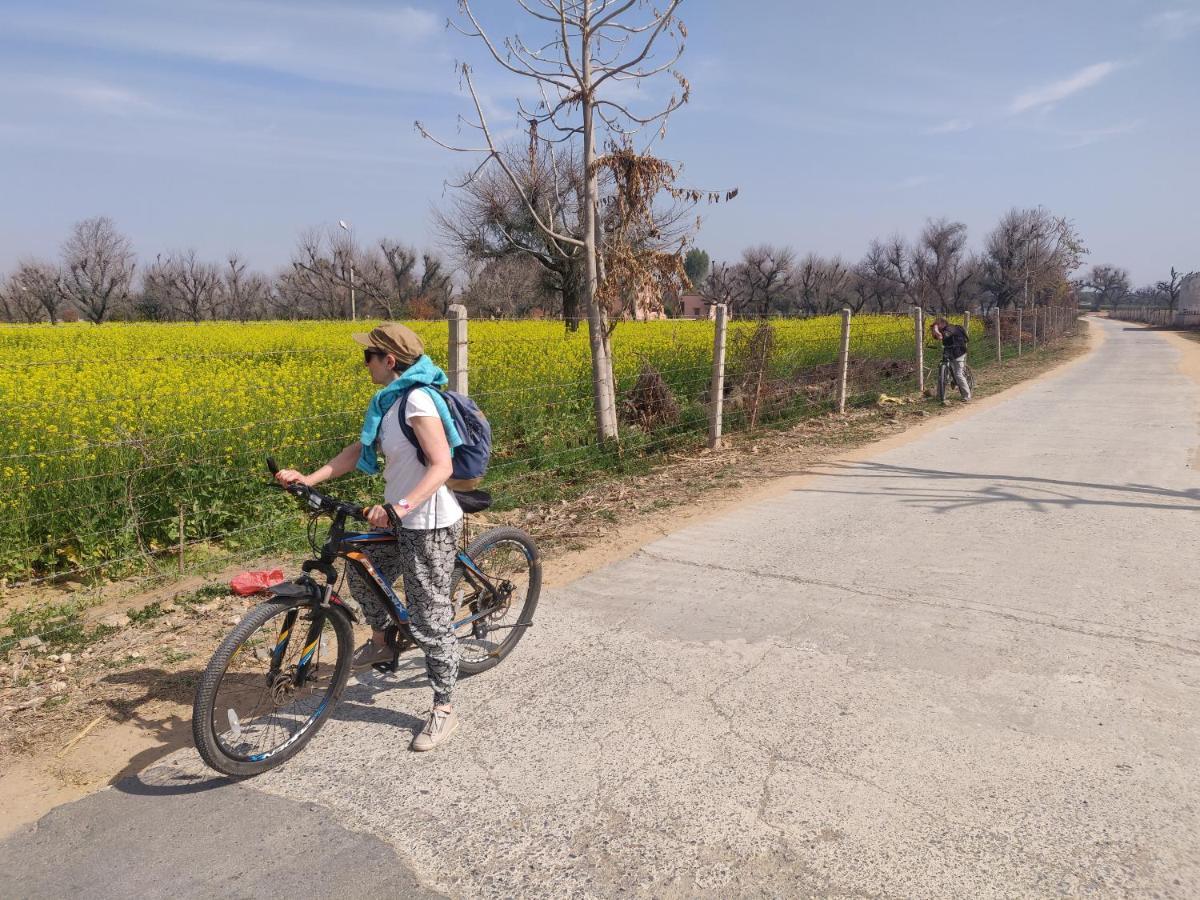 Tourist Pension Nawalgarh Dış mekan fotoğraf
